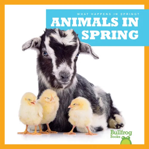 Animals in Spring - Paperback