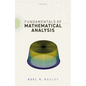 Fundamentals of Mathematical Analysis - Paperback