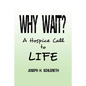 Why Wait?: A Hospice Call to Life - Paperback