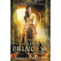 The Golden Princess: A Retelling of Ali Baba - Paperback