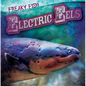 Electric Eels - Library Binding