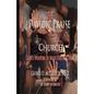 The Davidic Praise Church: God's Weapons of Mass Destruction - Paperback