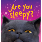 Are You Sleepy? - Hardcover