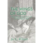 The Wings of God: Miraculous Stories of Our Lord and His Angels at Work - Paperback