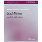 Graph Mining: Laws, Tools, and Case Studies - Paperback