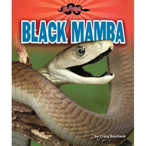 Black Mamba - Library Binding