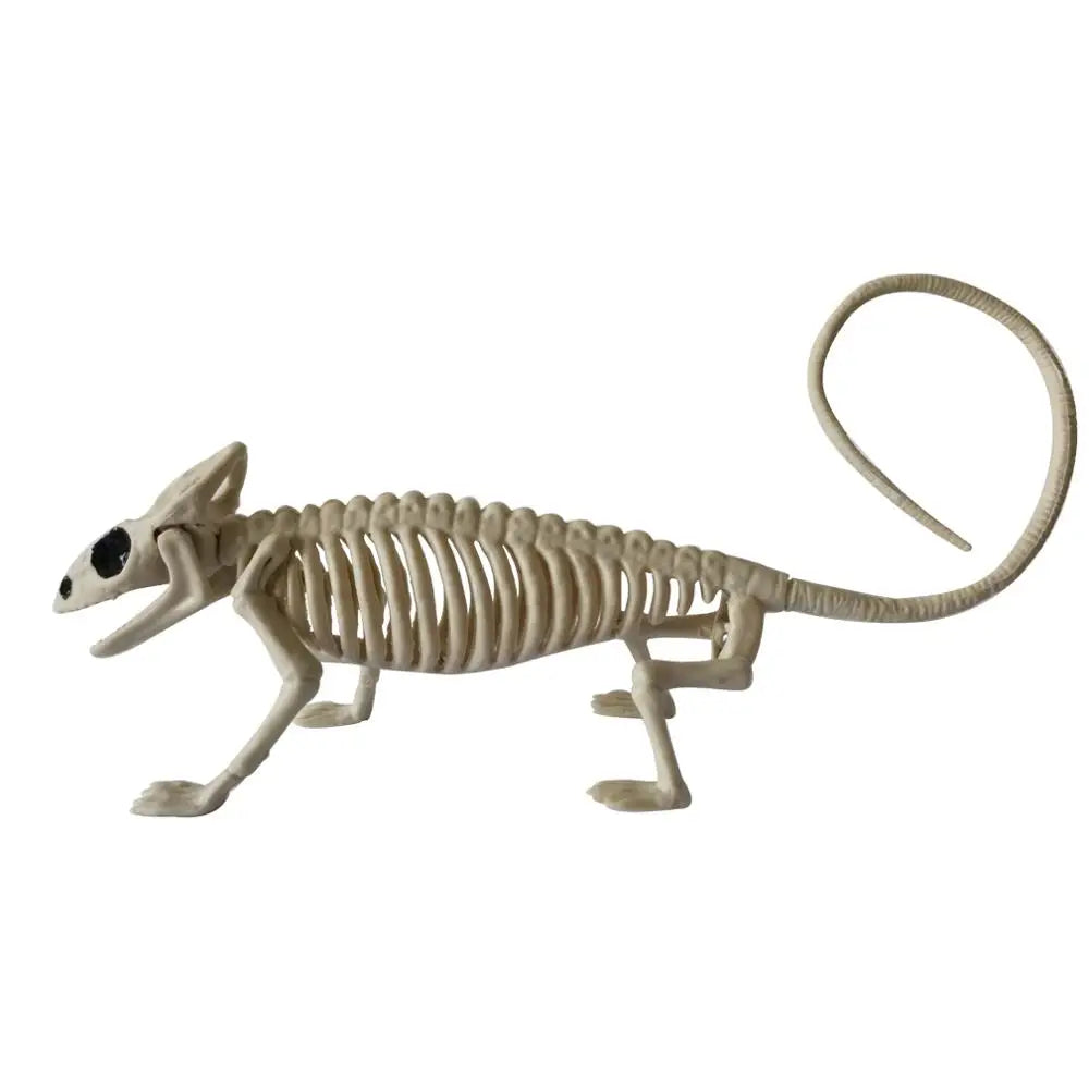 Halloween Plastic Animal Skeleton Ornament - 5 Styles