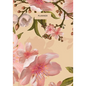 Planner: Start Anytime Undated 52 Week Planner For Efficiency & Productivity, Organizer for Goal-setting, Task Management, Budg - Paperback