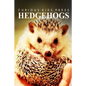 Hedge Hogs - Curious Kids Press: Kids book about animals and wildlife, Children's books 4-6 - Paperback