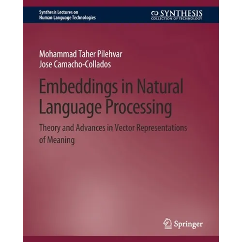 Embeddings in Natural Language Processing: Theory and Advances in Vector Representations of Meaning - Paperback