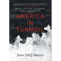 America in Turmoil: Essays on Politics, the Economy, Society, and the Future - Hardcover