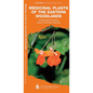 Medicinal Plants of the Eastern Woodlands: A Folding Guide to Familiar Species