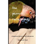 The Parrot Reckonings - Paperback