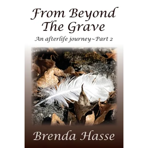 From Beyond The Grave: An afterlife journey Part 2 - Paperback