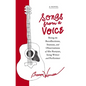 Songs from a Voice: Being the Recollections, Stanzas and Observations of Abe Runyan, Song Writer and Performer - Paperback