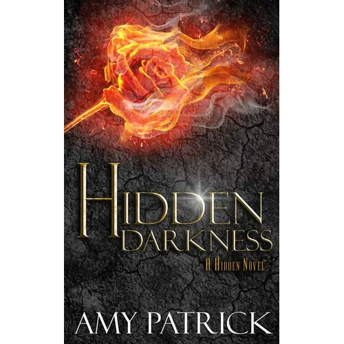 Hidden Darkness, Book 4 of the Hidden Saga - Paperback