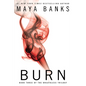 Burn - Paperback