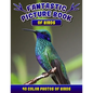 Fantastic Picture Book of Birds. 40 Color Photos of Birds: Bird Names Picture Book Gift for Adults with Alzheimer's or Dementia. - Paperback