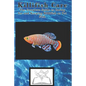 Killifish Care: The Complete Guide to Caring for and Keeping Killifish as Pet Fish - Paperback
