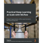 Practical Deep Learning at Scale with MLflow: Bridge the gap between offline experimentation and online production - Paperback