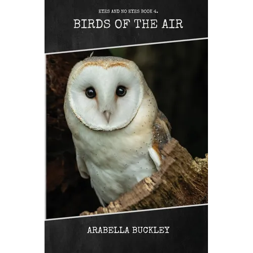 Birds of the Air - Paperback