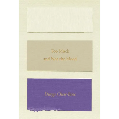 Too Much and Not the Mood: Essays - Paperback