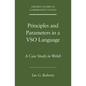 Principles and Parameters in a Vso Language: A Case Study in Welsh - Paperback