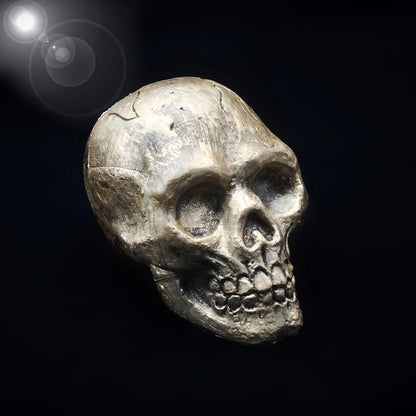 Plastic Skull Hanging Ornament, 9 x 14 x 10cm