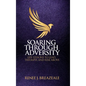 Soaring through Adversity: Life Lessons to Lead, Triumph, and Rise Above - Hardcover