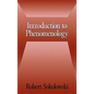 Introduction to Phenomenology - Hardcover