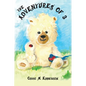 The Adventures of 3 - Hardcover