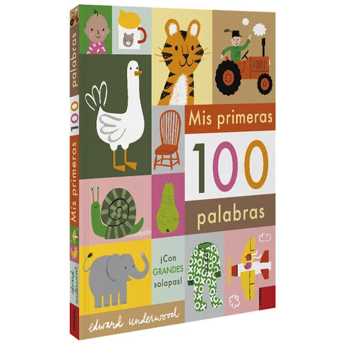 MIS Primeras 100 Palabras - Board Book