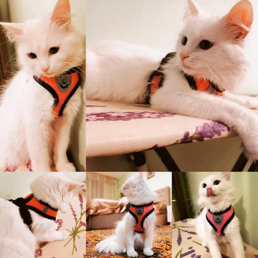 Adjustable Mesh Cat & Small Dog Harness Vest with 1.2m Leash S-XL Breathable Polyester Reflective