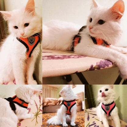 Adjustable Mesh Cat & Small Dog Harness Vest with 1.2m Leash S-XL Breathable Polyester Reflective