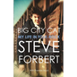 Big City Cat: My Life in Folk-Rock - Paperback