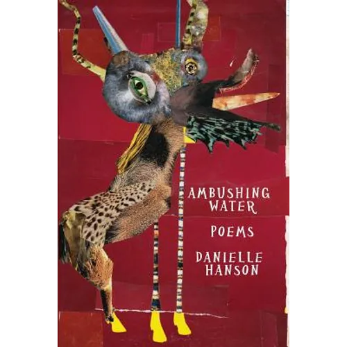 Ambushing Water - Paperback