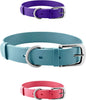 Heavy Duty Waterproof Dog Collar Metal Buckle Odor Proof XS–L (all colors)