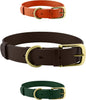 Heavy Duty Waterproof Dog Collar Metal Buckle Odor Proof XS–L (all colors)