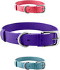 Heavy Duty Waterproof Dog Collar Metal Buckle Odor Proof XS–L (all colors)