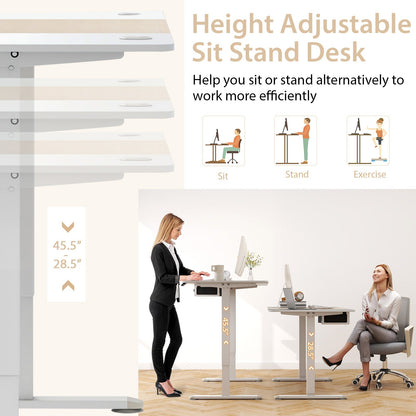 Height Adjustable Electric Standing Desk with USB Charging Port
