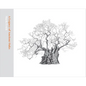 A Legacy of Ancient Oaks - Hardcover