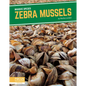Zebra Mussels - Paperback