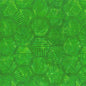Hexies Avacado 81700-75 Cotton 44"/45" Fabric Per Yard