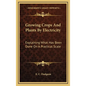 Growing Crops and Plants by Electricity: Explaining What Has Been Done on a Practical Scale - Hardcover