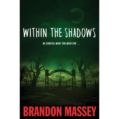 Within the Shadows - Paperback