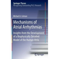 Mechanisms of Atrial Arrhythmias: Insights from the Development of a Biophysically Detailed Model of the Human Atria - Hardcover
