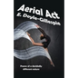 Aerial Act: Poems of a Decidedly Different Nature - Paperback
