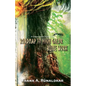Roadmap to High Galdr Rune Work: A Consolidated Study Guide - Paperback