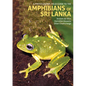 A Photographic Field Guide to the Amphibians of Sri Lanka - Hardcover