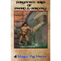 Forgotten Tales Of Sword & Sorcery - Paperback